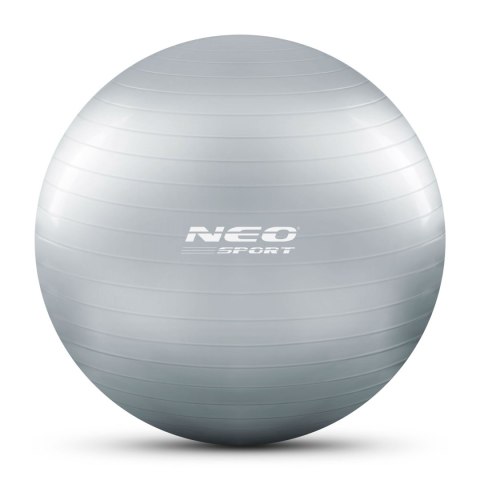 Piłka do ćwiczeń 75 cm NS-952 srebrna Piłka do ćwiczeń 75 cm NS-952 srebrna