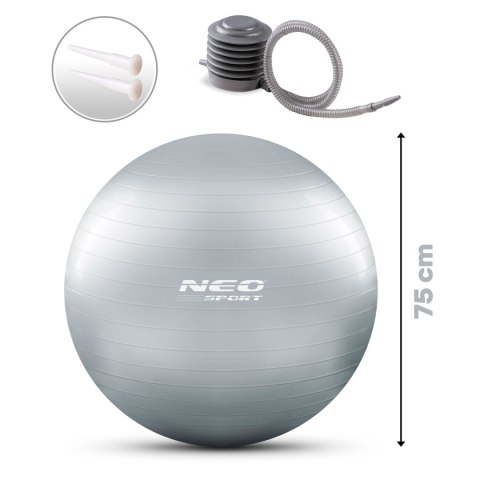 Piłka do ćwiczeń 75 cm NS-952 srebrna Piłka do ćwiczeń 75 cm NS-952 srebrna