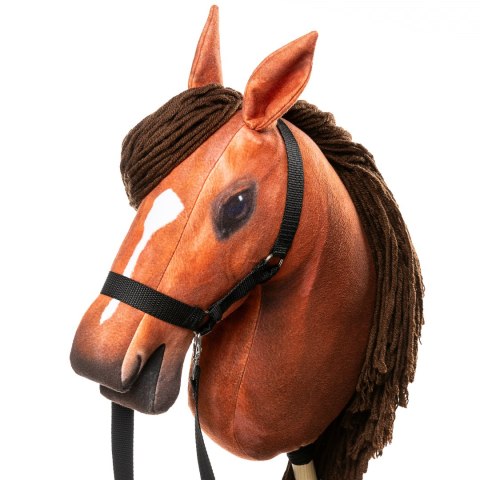 Zestaw Skippi - Hobby Horse Bursztyn i przeszkoda do skakania 135 cm Zestaw Skippi - Hobby Horse Bursztyn i przeszkoda do skakania 135 cm
